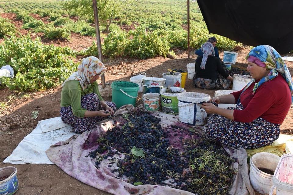 بە وێنە: مێوژكردن لە شاری ئادیەمان لە باكوری كوردستان