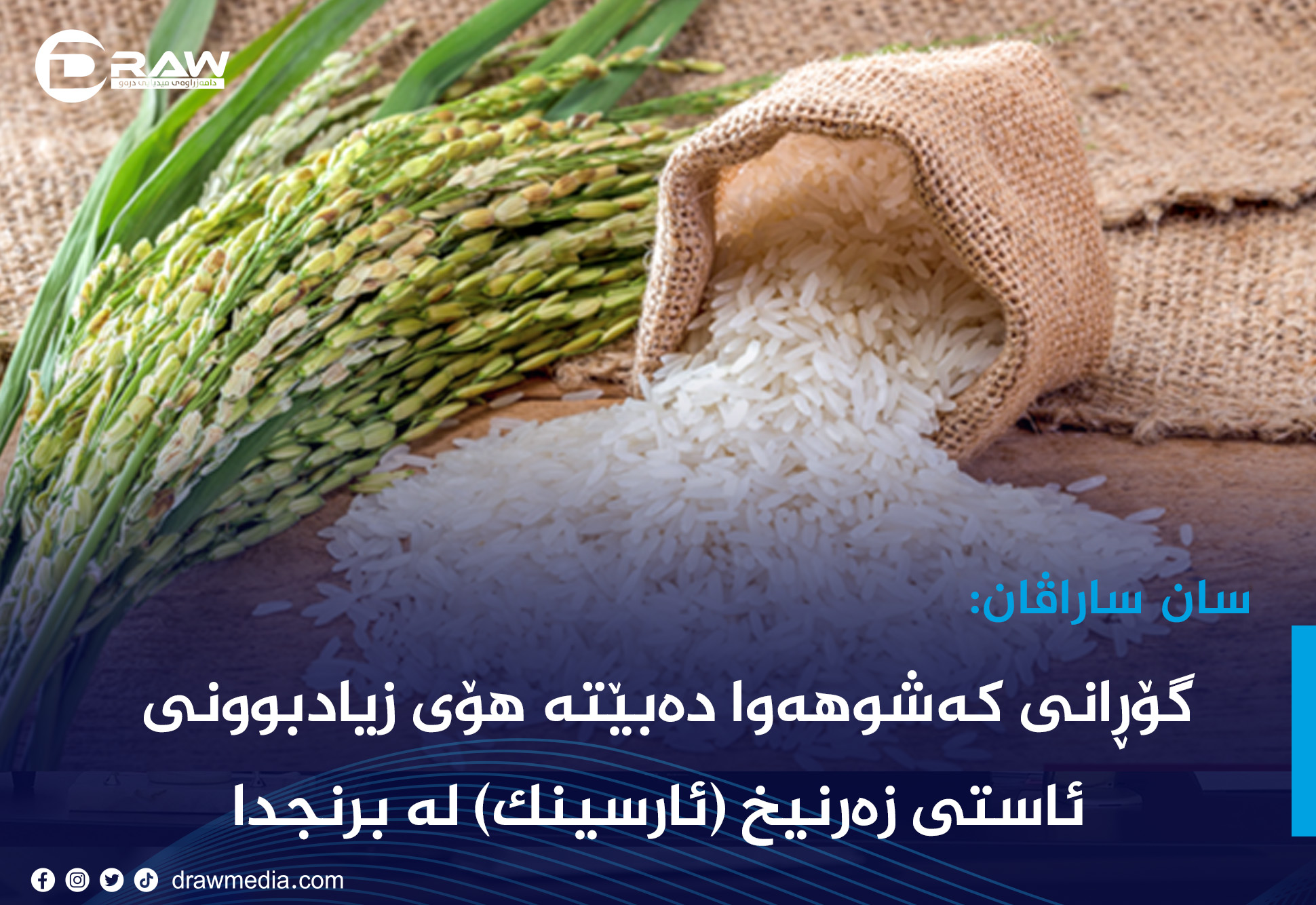 گۆڕانی کەشوهەوا دەبێتە هۆی زیادبوونی ئاستی زەرنیخ (ئارسینک) لە برنجدا