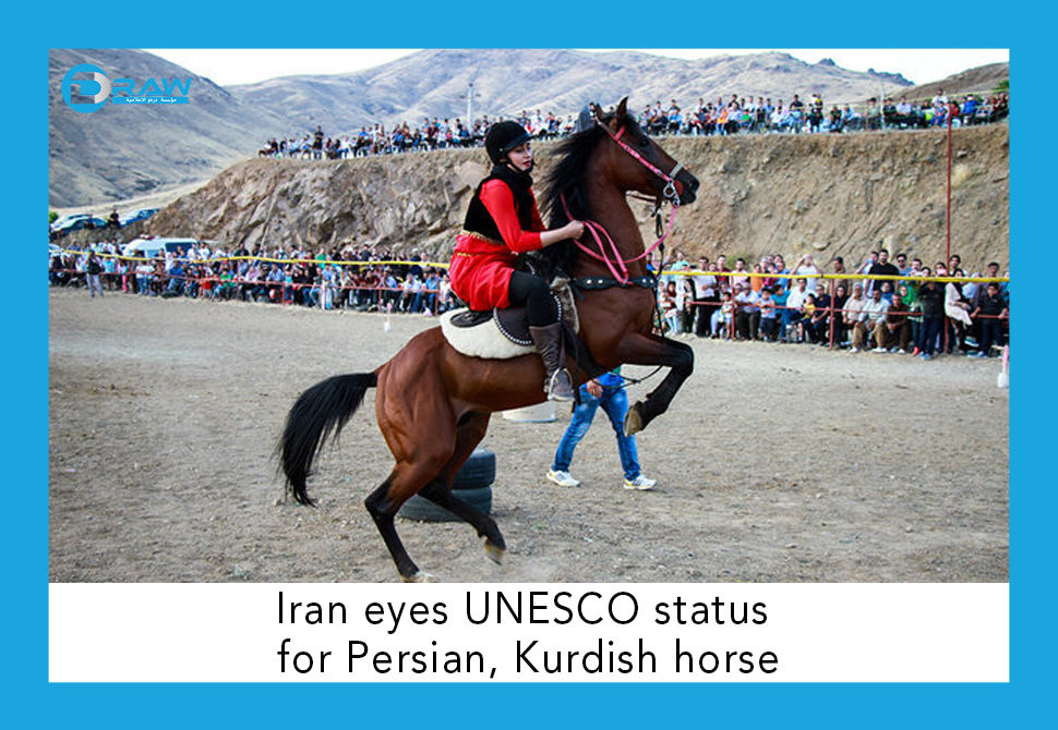 Iran eyes UNESCO status for Persian, Kurdish horse