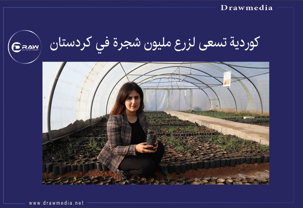 كردية تسعى لزرع مليون شجرة في كردستان