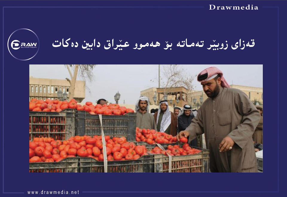 تەماتە لە عێراق ژمارەی پێوانەیی تۆماركرد