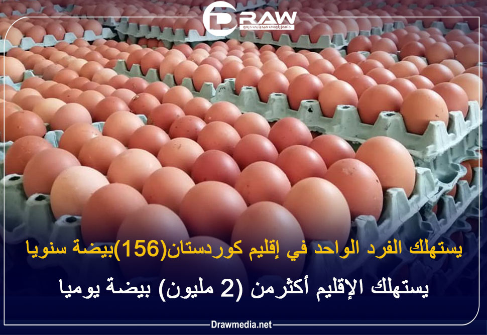 يستهلك الفرد الواحد في إقليم كوردستان(156)بيضة سنويا