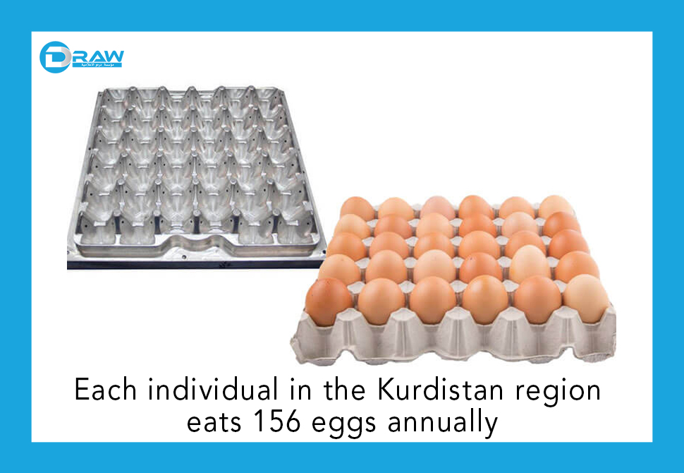 Each individual in the Kurdistan region eats 156 eggs annually