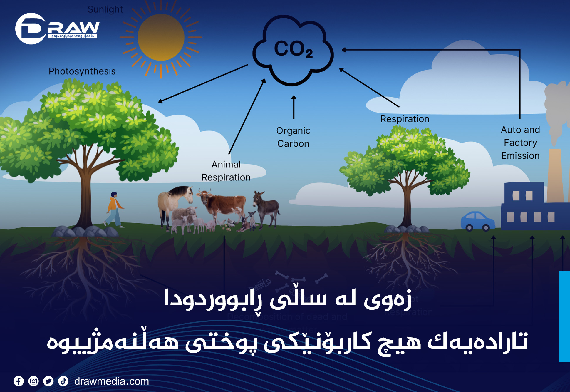  زەوی لە ساڵی ڕابووردودا  تارادەیەک هیچ کاربۆنێکی پوختی هەڵنەمژییوە